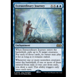 Extraordinary Journey //...