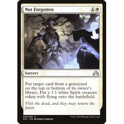 Not Forgotten // No olvidado