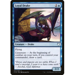 Loyal Drake // Draco leal