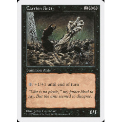 Carrion Ants // Hormigas...