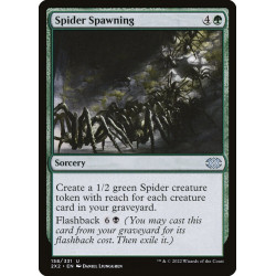 Spider Spawning // Desove...