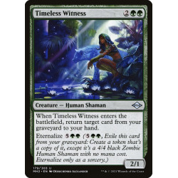 Timeless Witness // Testigo...