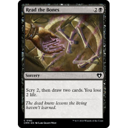 Read the Bones // Lectura...
