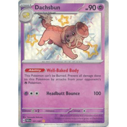 Dachsbun (Shiny Rare)