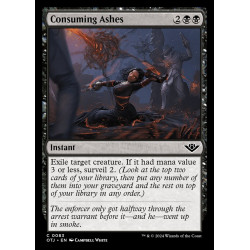 Consuming Ashes // Cenizas...