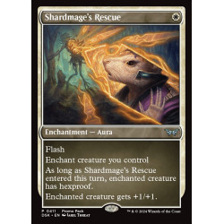 Shardmage's Rescue //...