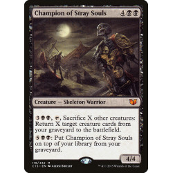 Champion of Stray Souls //...