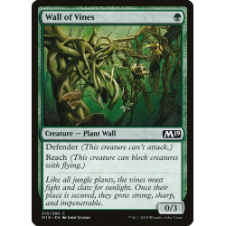 Wall of Vines // Muro de...