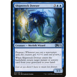 Shipwreck Dowser // Zahorí...