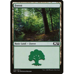 Forest // Bosque (VARIEDADES)