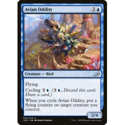 Avian Oddity // Rareza aviaria