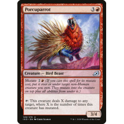 Porcuparrot // Loroespín