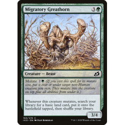 Migratory Greathorn //...