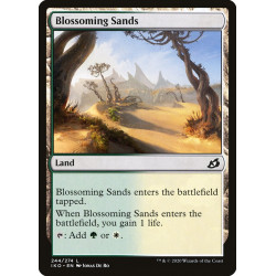 Blossoming Sands // Arenas...