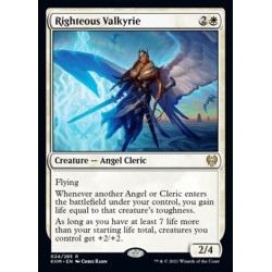 Righteous Valkyrie //...