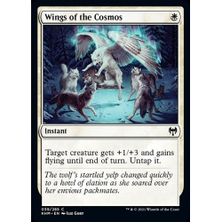 Wings of the Cosmos