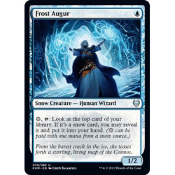 Frost Augur // Augur...