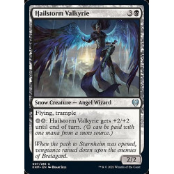 Hailstorm Valkyrie //...